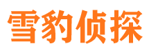 新龙市私家侦探